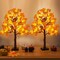 2 Pack 24 Inch Prelit Fall Maple Tree Thanksgiving Decorations with 48 LED Lights Timer Battery Operated Light Up Acorn Maple Tree for Thanksgiving Artificial Fall Autumn Home Indoor Halloween Decor